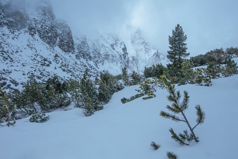 Montanhas altas de Tatras no tempo de inverno fotos de stock Montanhas altas de Tatras no tempo de inverno fotos de stock
