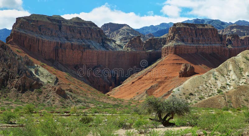 Colorful mountains of Quebrada de las Conchas near Cafayate, Salta Province, Argentina. Colorful mountains of Quebrada de las Conchas near Cafayate, Salta Province, Argentina