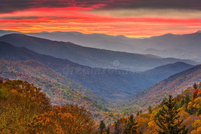 Montanhas fumarentos parque nacional, outono de Tennessee, EUA fotos de stock Montanhas fumarentos parque nacional, outono de Tennessee, EUA fotos de stock
