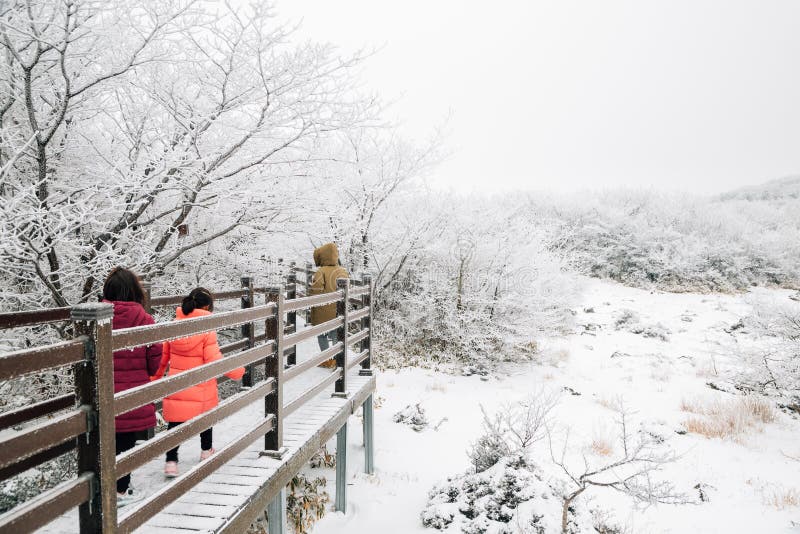 Montanhas 1100 nevados da montanha de Hallasan do inverno na ilha de Jeju, Coreia imagem de stock Montanhas 1100 nevados da montanha de Hallasan do inverno na ilha de Jeju, Coreia imagem de stock