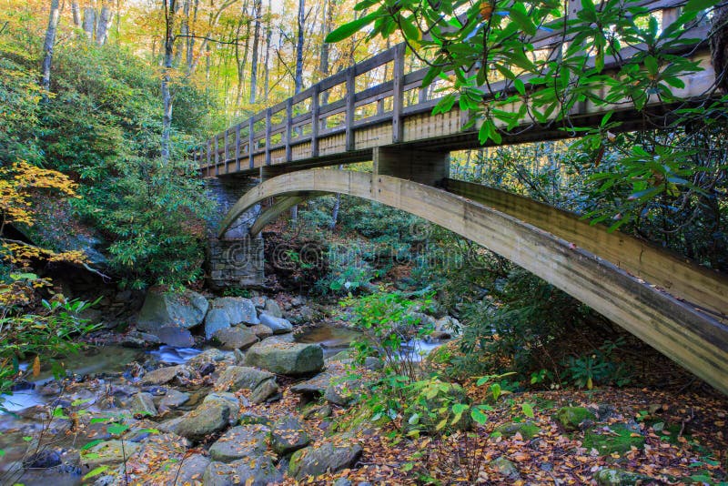 Montanhas nortes de Carolina Trail Footbridge Blue Ridge imagem de stock royalty free Montanhas nortes de Carolina Trail Footbridge Blue Ridge imagem de stock royalty free