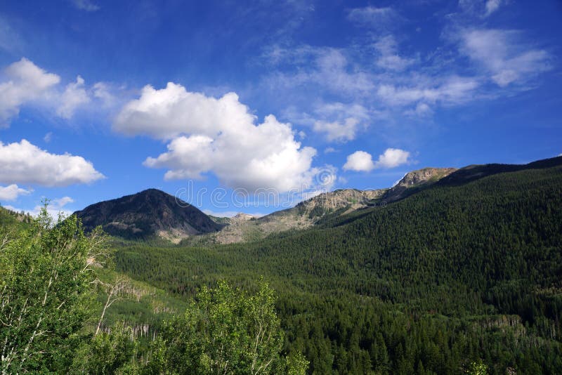 Montanhas verdes da passagem da independência, Colorado imagem de stock Montanhas verdes da passagem da independência, Colorado imagem de stock