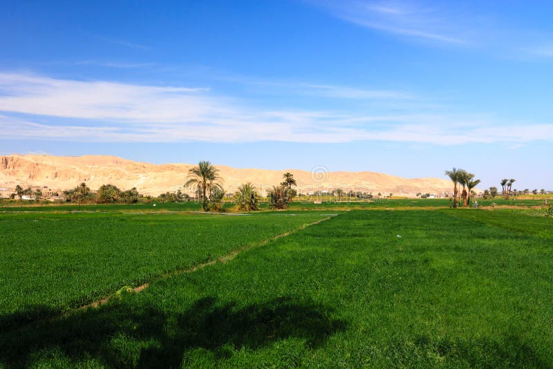 Montanhas verdes da terra e do deserto em Luxor, Egipto fotografia de stock Montanhas verdes da terra e do deserto em Luxor, Egipto fotografia de stock
