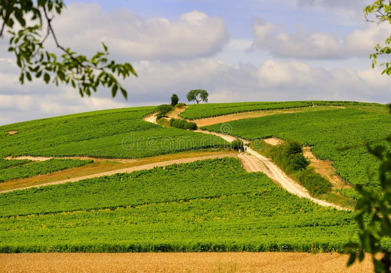 Montanhês de Sancerre fotos de stock Montanhês de Sancerre fotos de stock