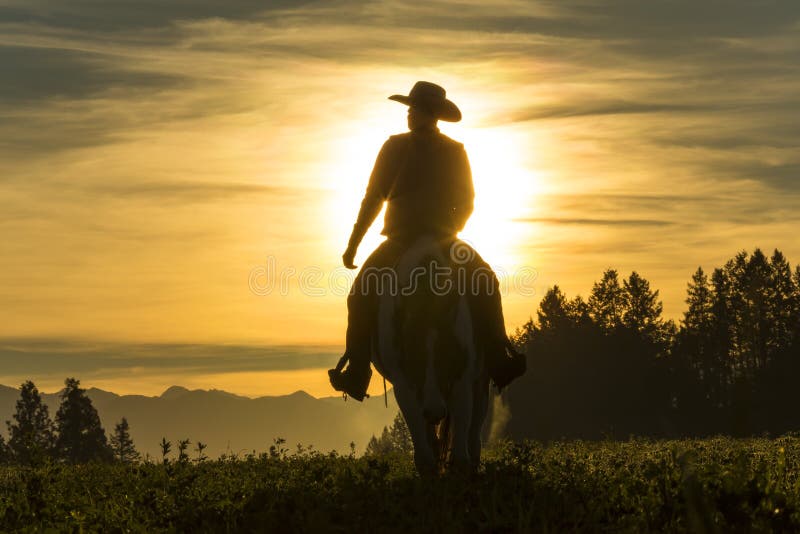 montar-caballo-del-vaquero-trav%C3%A9s-del-prado-con-las-monta%C3%B1as-en-el-fondo-92243804.jpg