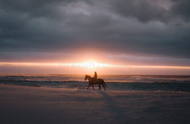 Montar a caballo en la puesta del sol en la playa imagen de archivo libre de regalías Montar a caballo en la puesta del sol en la playa imagen de archivo libre de regalías