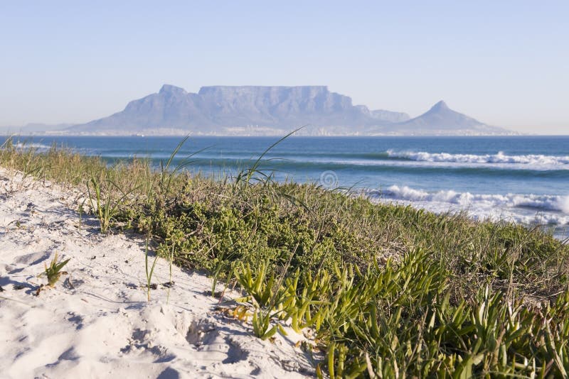 Table Mountain - the world famous landmark in Cape Town, South Africa. Picture taken on a clear Winters day from the Blouberg Strand beach. A sand-dune with some green folliage is in the foreground. Table Mountain - the world famous landmark in Cape Town, South Africa. Picture taken on a clear Winters day from the Blouberg Strand beach. A sand-dune with some green folliage is in the foreground.