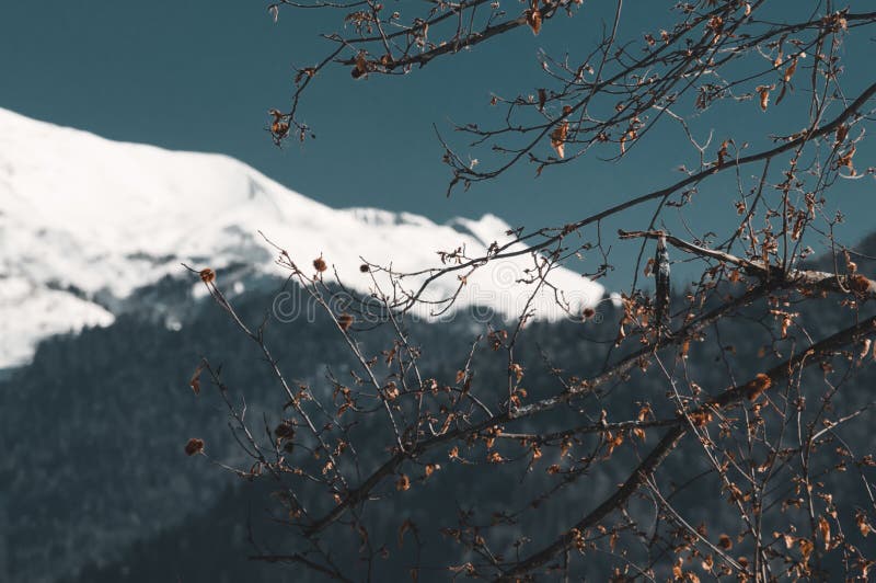 Montañas de invierno de Krasnaya Polyana fotos de archivo libres de regalías