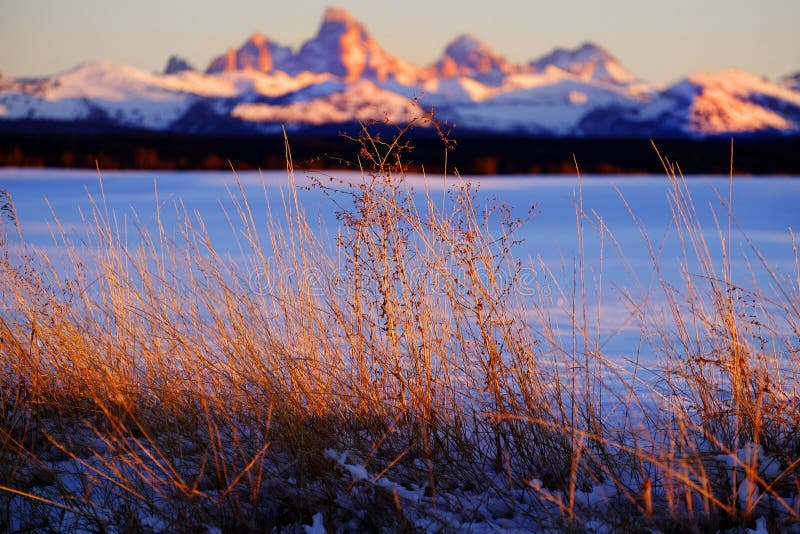 Montañas de Tetons Teton de la puesta del sol de las malas hierbas de la hierba salvaje en el fondo Bea fotos de archivo libres de regalías Montañas de Tetons Teton de la puesta del sol de las malas hierbas de la hierba salvaje en el fondo Bea fotos de archivo libres de regalías