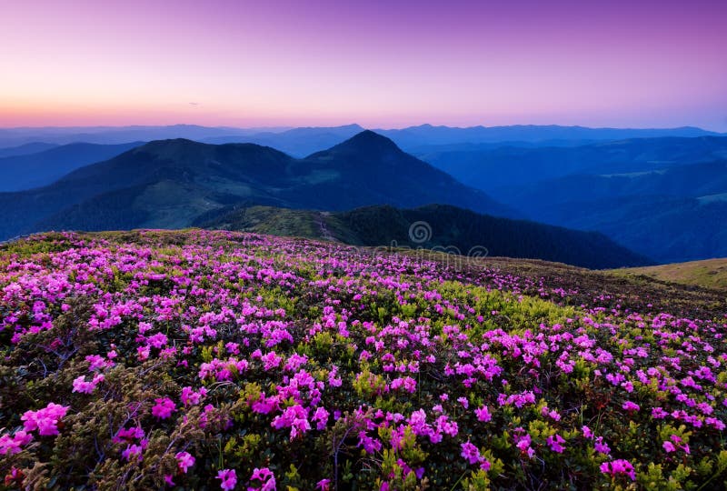 Montañas durante el flor y la salida del sol de las flores fotografía de archivo libre de regalías Montañas durante el flor y la salida del sol de las flores fotografía de archivo libre de regalías