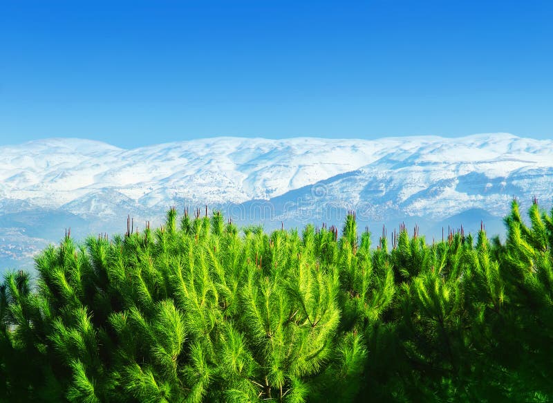 Montañas hermosas fotografía de archivo libre de regalías