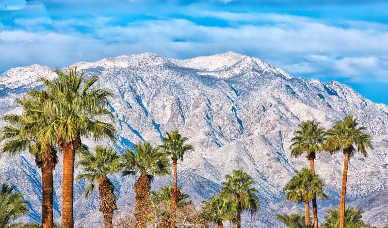 Montañas nevadas desérticas Palm Springs Palm Tree California