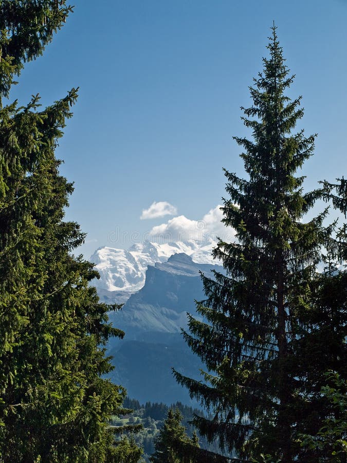 Montblanc view