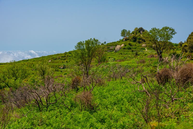 Monte epomeo-berget på italienska öischia royaltyfri bild