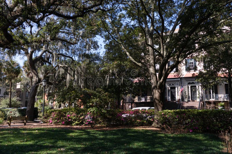 Monterey Square with Green Trees and Spanish Moss in the Historic District of Savannah Georgia