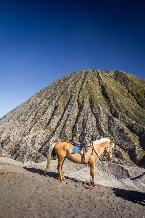 Montering Bromo i Java Indonesia arkivbild Montering Bromo i Java Indonesia arkivbild