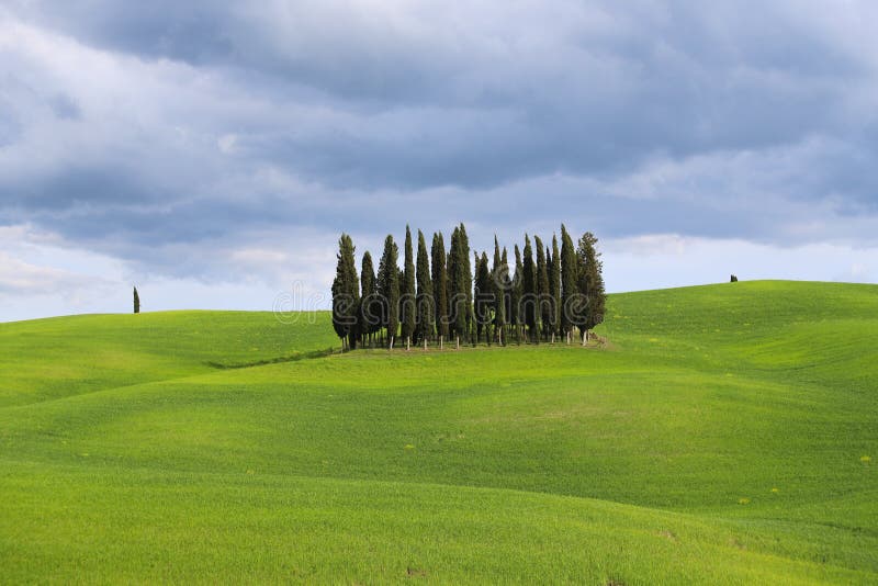 Montes de Tosc?nia Paisagem de Val d ?Orcia na mola imagens de stock Montes de Tosc?nia Paisagem de Val d ?Orcia na mola imagens de stock