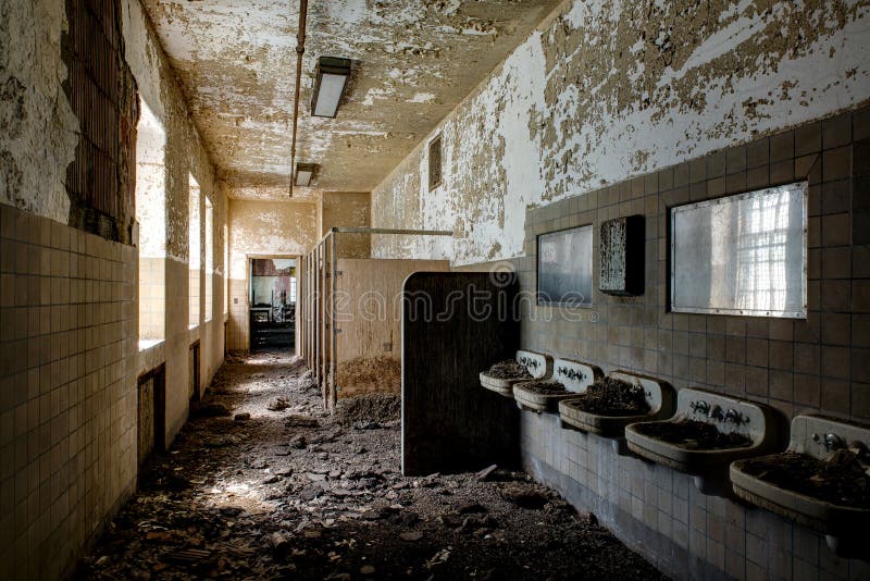 Montes do tombadilho dentro dos dissipadores do banheiro - hospital abandonado do pássaro foto de stock Montes do tombadilho dentro dos dissipadores do banheiro - hospital abandonado do pássaro foto de stock