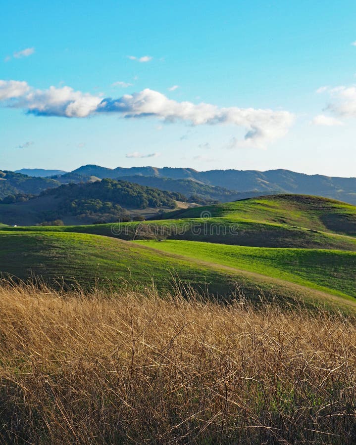 Montes Verdes De Sonoma County Foto de Stock Imagem de sonoma, cerca