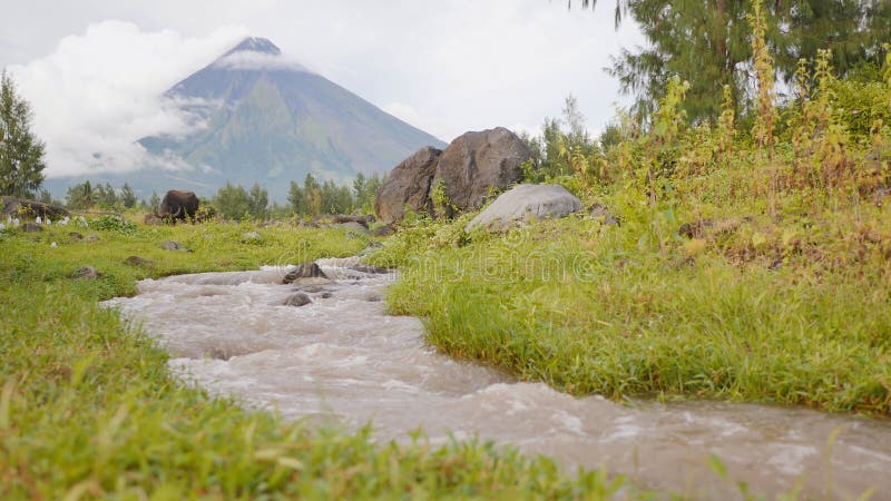 Montez le volcan Mayon dans la province de Bicol, Philippines Rivière débordante de montagne du volcan clips vidéos