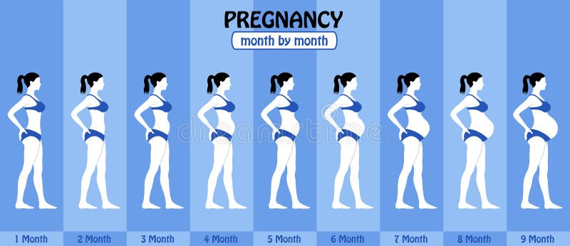 Pictures of two months pregnant