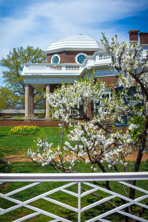 Monticello trädgårds- och vitt skogskornellträd