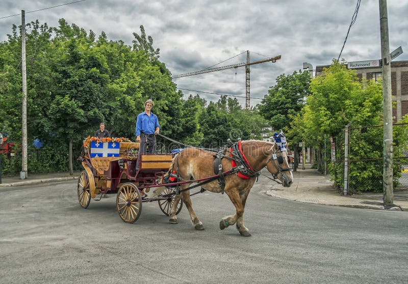 Montreal Carriage Ride editorial image. Image of city 84387865