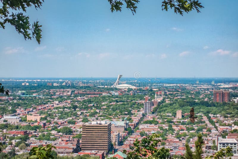 Montreal city summer view of Stadium from top of Mount Royal, neighborhood background. Mobile picture taking with phone