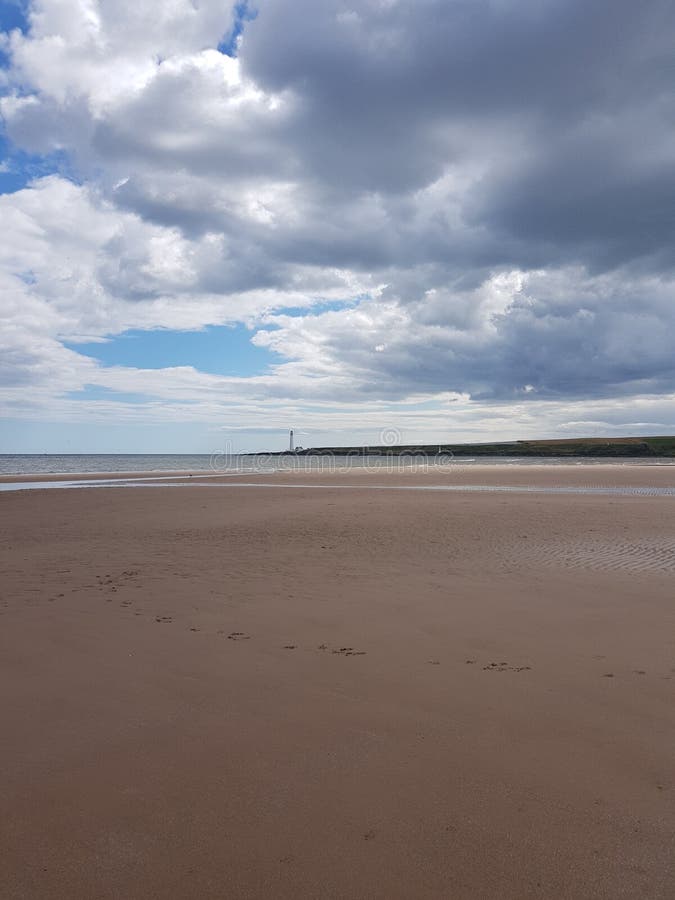 Montrose beech stock photo. Image of beech, view, lookout 114116614