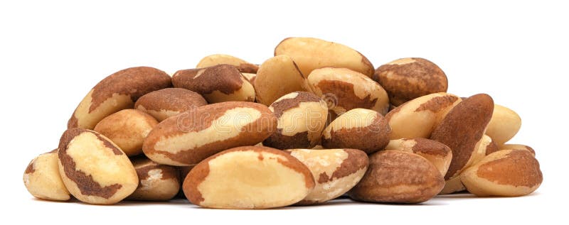 Montón de las nueces de Brasil aisladas en el fondo blanco Tuercas org?nicas imagenes de archivo Montón de las nueces de Brasil aisladas en el fondo blanco Tuercas org?nicas imagenes de archivo
