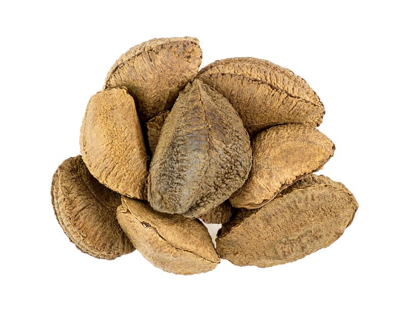Montón de las nueces de Brasil aisladas en blanco imagen de archivo libre de regalías Montón de las nueces de Brasil aisladas en blanco imagen de archivo libre de regalías