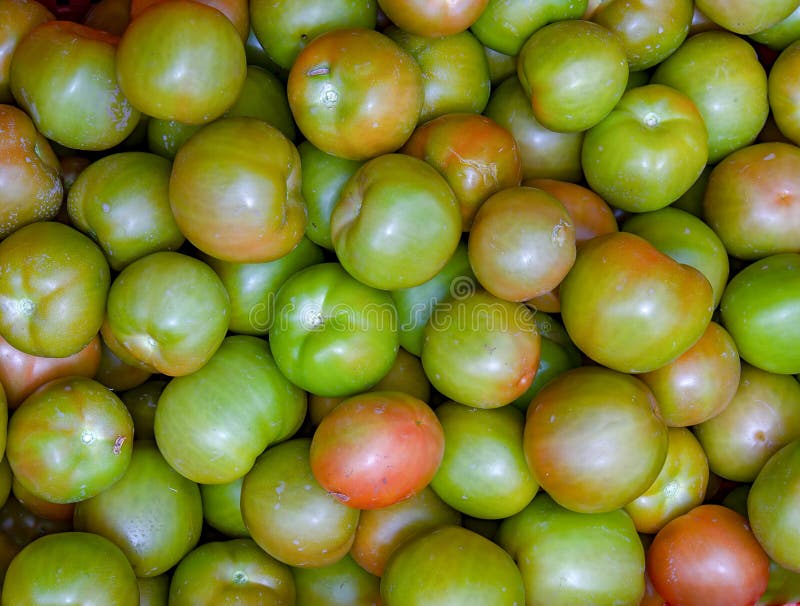 Montón de tomates verdes en un mercado imagen de archivo Montón de tomates verdes en un mercado imagen de archivo