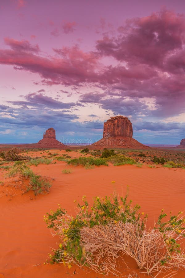 arizona scenery on t sherts arizona scenery on t sherts