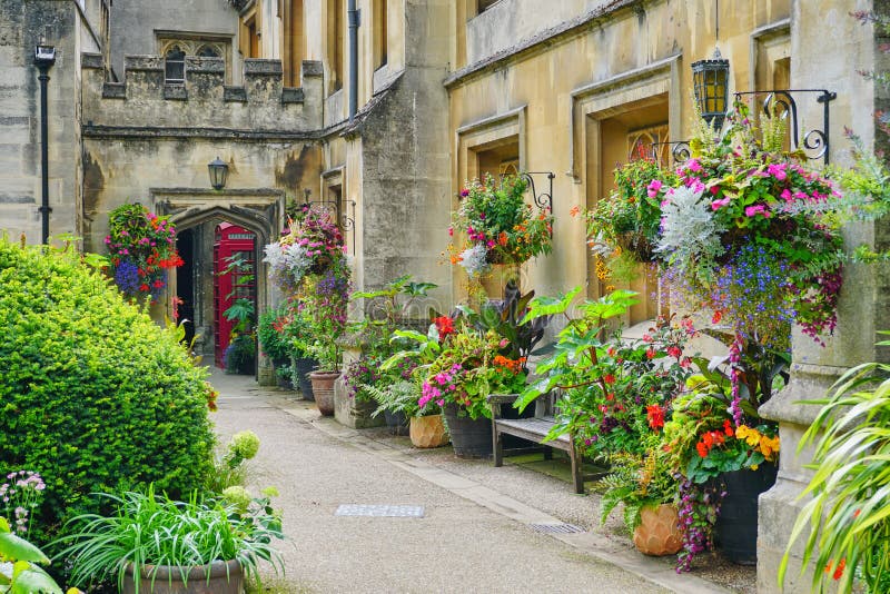 Monumenti storici di Magdalen College e piante esotiche fotografia stock libera da diritti Monumenti storici di Magdalen College e piante esotiche fotografia stock libera da diritti