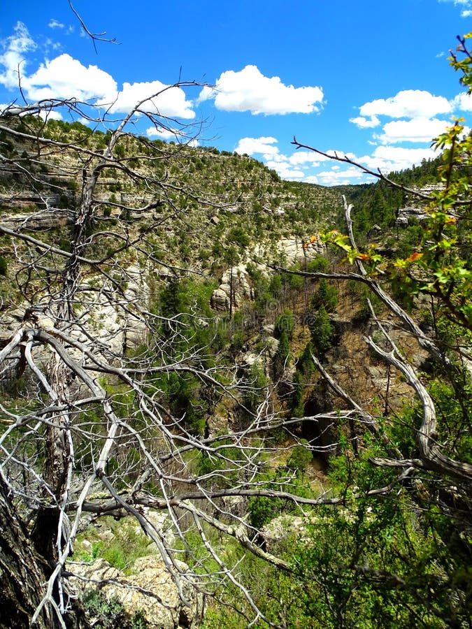 North America, United States, Arizona, Walnut Canyon National Monument. North America, United States, Arizona, Walnut Canyon National Monument
