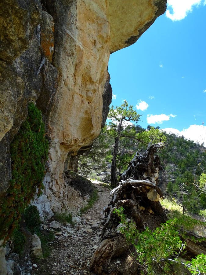 North America, United States, Arizona, Walnut Canyon National Monument. North America, United States, Arizona, Walnut Canyon National Monument