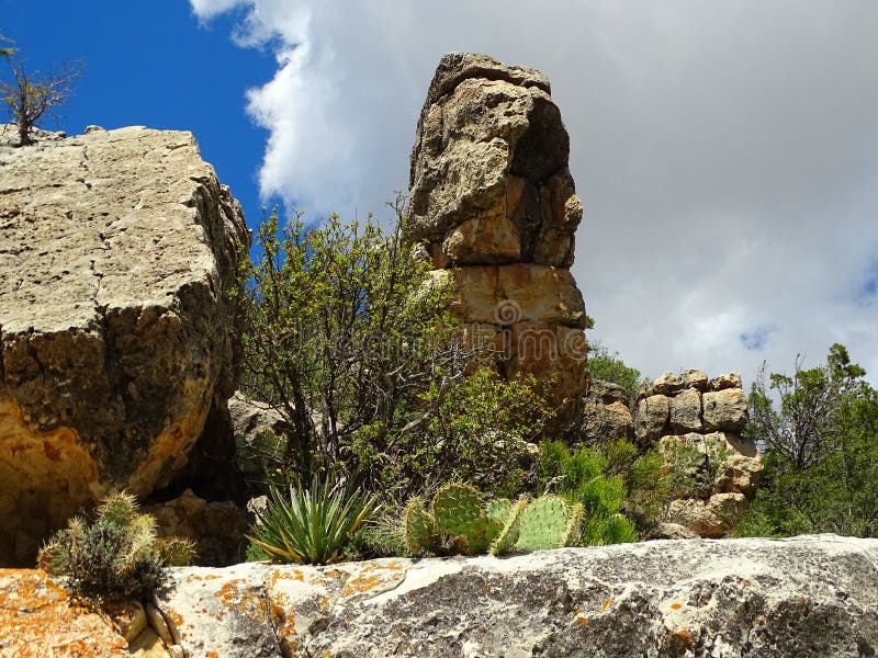 North America, United States, Arizona, Walnut Canyon National Monument. North America, United States, Arizona, Walnut Canyon National Monument