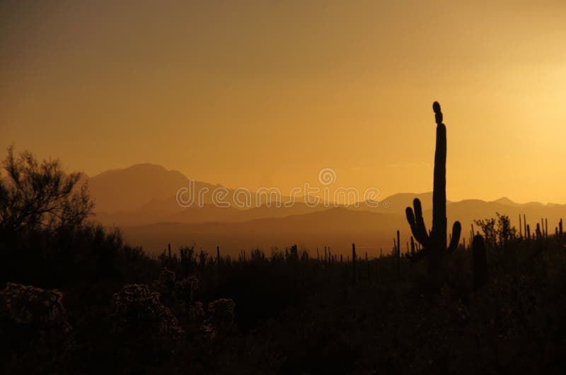 Organ Pipe Cactus National Monument is a U.S. National Monument and UNESCO biosphere reserve located in extreme southern Arizona which shares a border with the Mexican state of Sonora. The park is the only place in the United States where the Organ Pipe Cactus grows wild. Along with Organ Pipe, many other types of cacti, as well as other desert flora native to the Yuma Desert section of the Sonoran Desert region grow here. The Park is a beautiful preservation of the American Southwest. Organ Pipe Cactus National Monument is a U.S. National Monument and UNESCO biosphere reserve located in extreme southern Arizona which shares a border with the Mexican state of Sonora. The park is the only place in the United States where the Organ Pipe Cactus grows wild. Along with Organ Pipe, many other types of cacti, as well as other desert flora native to the Yuma Desert section of the Sonoran Desert region grow here. The Park is a beautiful preservation of the American Southwest.