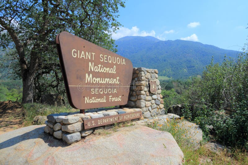 Monumento nazionale della sequoia gigante