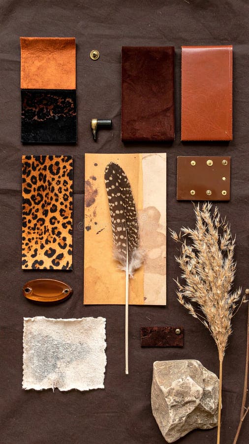 Moodboard with warm brown tones fabric leopard texture dry grass and safari theme royalty free stock image