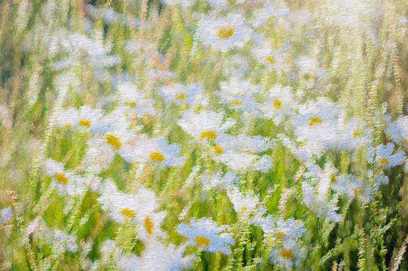 Mooi achtergrond geweven de lentebeeld Een madeliefjebloem op een groene achtergrond stock afbeeldingen Mooi achtergrond geweven de lentebeeld Een madeliefjebloem op een groene achtergrond stock afbeeldingen