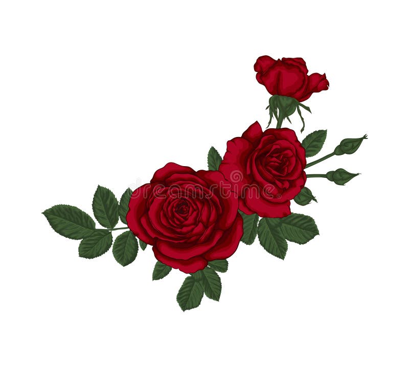 Mooi boeket met rode rozen en bladeren Bloemenregeling
