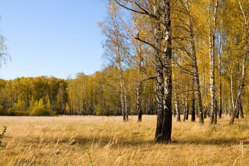 Mooi de herfstlandschap royalty-vrije stock afbeelding Mooi de herfstlandschap royalty-vrije stock afbeelding
