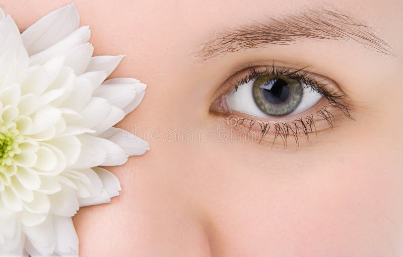 Close-ups van het mooie gezicht van een vrouw stock fotografie