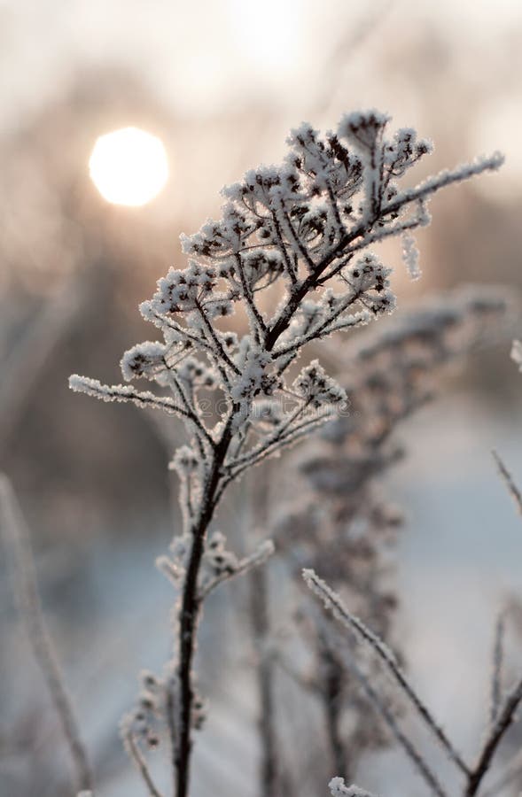 Prachtig winterlandschap stock afbeeldingen