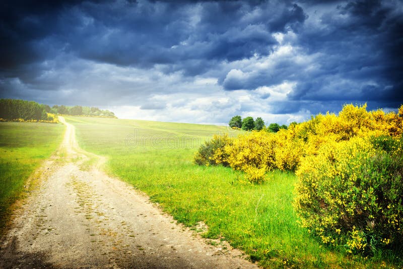 Beautiful summer landscape with country road. Nature background. Beautiful summer landscape with country road. Nature background