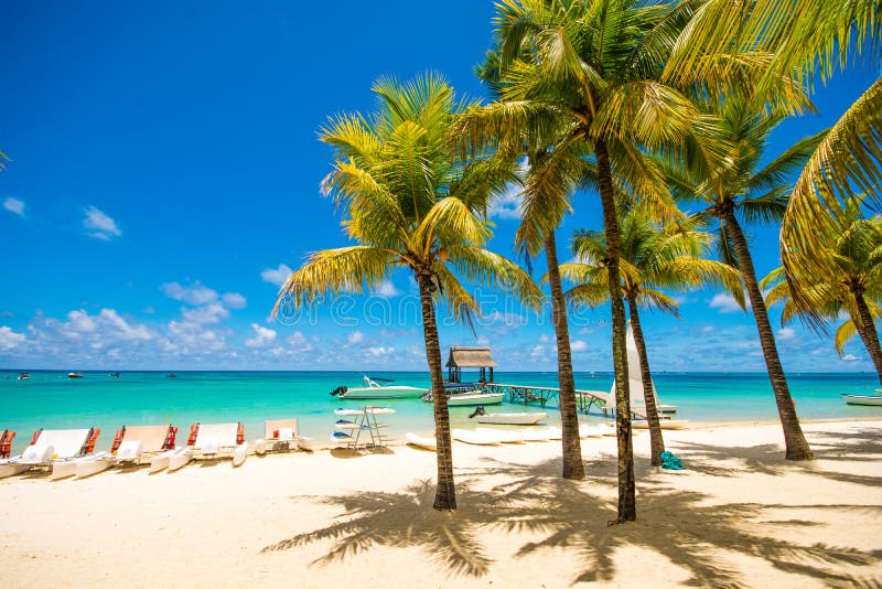 Mooi exotisch strand in Trou aux Biches, Mauritius stock foto's Mooi exotisch strand in Trou aux Biches, Mauritius stock foto's