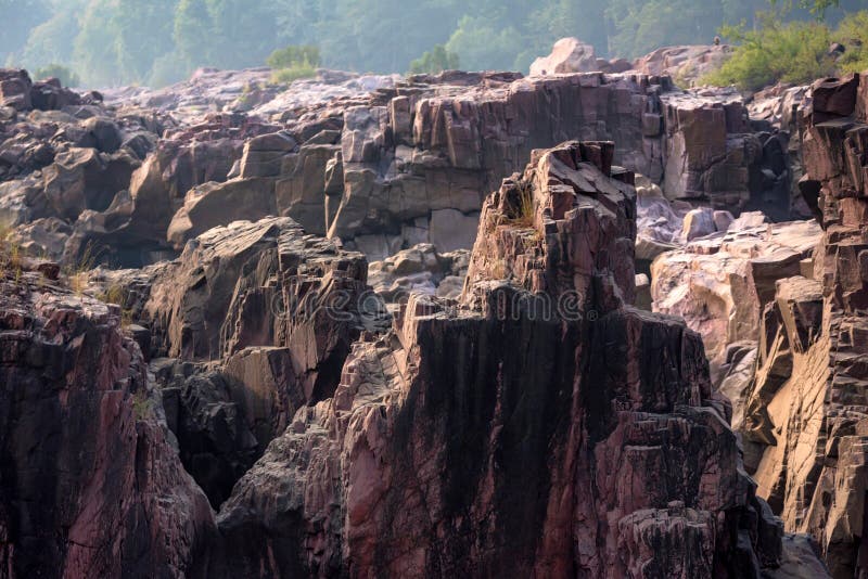 Prachtig Indiaas landschap in het Gharial-reservaat stock afbeelding