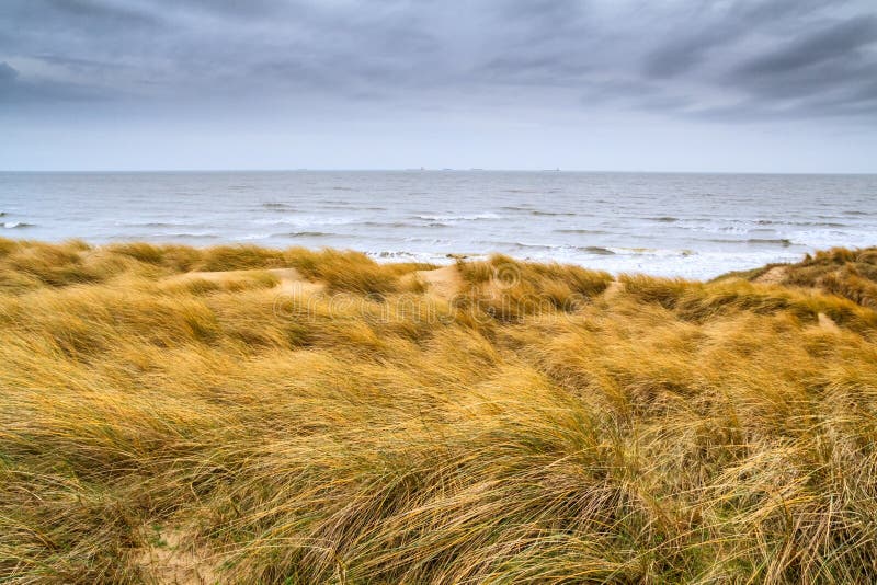 Mooi kustlandschap - de kust van Zuid-Holland met gras behandelde zandduinen royalty-vrije stock afbeelding Mooi kustlandschap - de kust van Zuid-Holland met gras behandelde zandduinen royalty-vrije stock afbeelding
