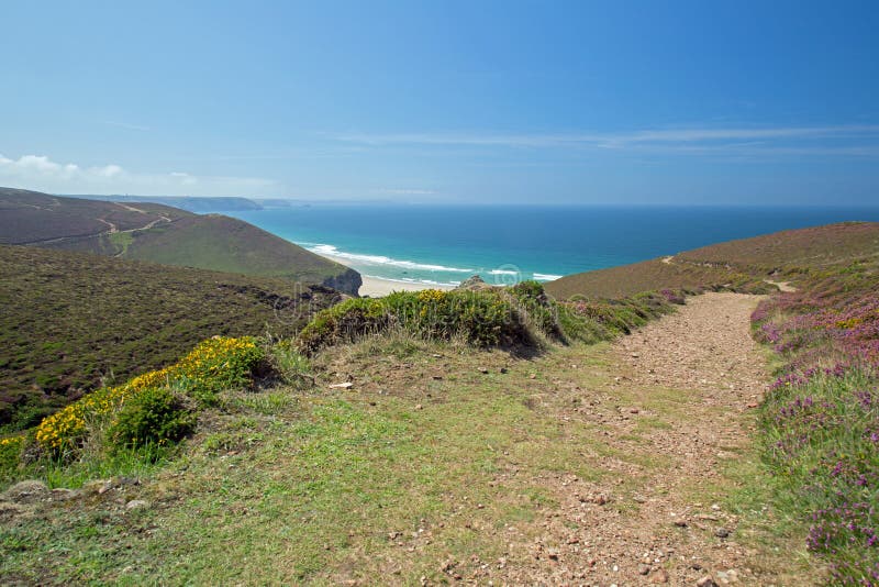 Mooi landschap Van Cornwall met purpere heidevoorgrond royalty-vrije stock foto